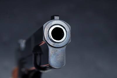 Springfield Armory Model SA-35 9mm 4.4