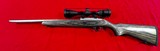 Ruger 10/22 custom - 2 of 4