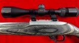 Ruger 10/22 custom - 3 of 4