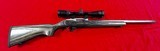 Ruger 10/22 custom