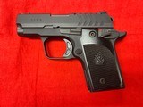 Springfield 911 380 - 2 of 3