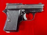 FIE Titan .25