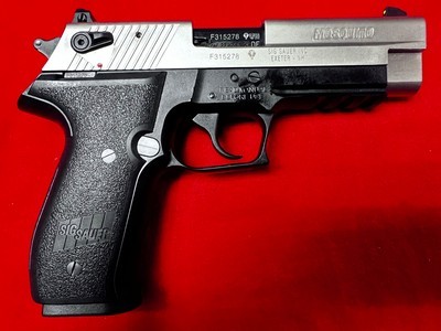 SIG Mosquito two tone