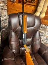 Winchester Super X model 1 - 12 of 20