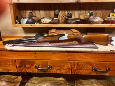 Angelo Zoli Z43 Special 12 GA - Image 5 of 20