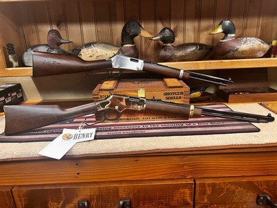 HENRY17 HMR HENRY 22 MAG