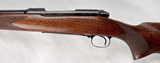 Winchester 70 Pre-64 Featherweight 243 Win -Made in 1956- - 13 of 20