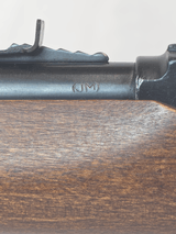 Marlin/Glenfield Model 60 22LR -SQUIRREL ENGRAVED STOCK- JM - 8 of 10