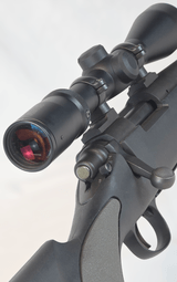 Remington 700SPS 300WSM w/Burris Fullfield II 3-9x40 scope - 7 of 11