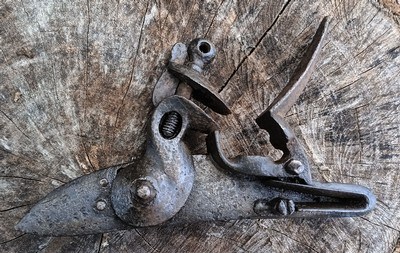 OLD - Circa 1810 -
Vintage Flintlock assembly