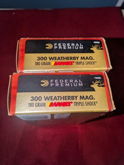 FEDERAL PREMIUM 300 WEATHERBY MAG