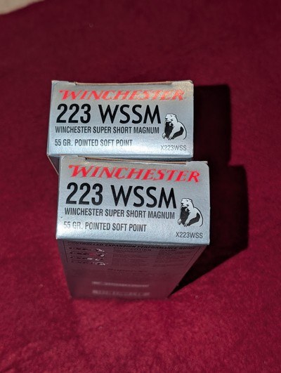 WINCHESTER 223 WSSM TWO BOXES