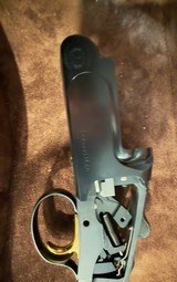 PERAZZI MX8 LIVE PIGEON / HELICE - 5 of 7