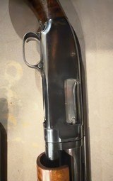 Winchester model 12 pigeon - Image 5 of 8