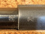 Winchester Pre-64 Model 70 .300 H&H - 16 of 20