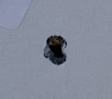 WINCHESTER MODEL 52, 22 LR, MADE in 1937, With LYMAN 12X TARGETMASTER SCOPE - 19 of 20