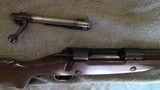 Winchester Model 70 Post-64 Controlled Round feed (pre-64-style) Bolt .458 Win Mag 