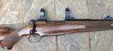 Ed Brown Safari Rifle Turkish Walnut stock - 7 of 8
