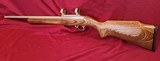 RUGER 10/22 .22 RIM-FIRE BUTLER CREEK HEAVY BARREL - 4 of 12