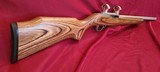 RUGER 10/22 .22 RIM-FIRE BUTLER CREEK HEAVY BARREL - 3 of 12