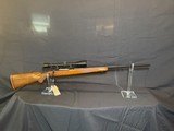 Ruger M77 25-06