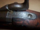 springfield model 1873 trapdoorofficersmodel45-70 cal - 20 of 20