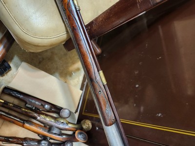 italianduck billblunderbuss - Image 6 of 16