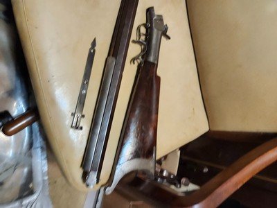 allen side hammer rifle
.40bore