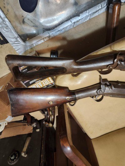 bland
harpoon
gun
1.25 inches