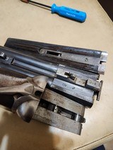 parker trogan
12ga - 10 of 11