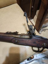 westley richards monkey
tail
rifle
.451 bore - 2 of 11