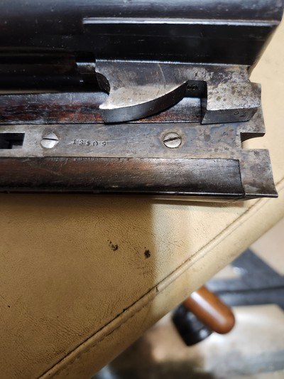 parker liftermodel - Image 10 of 11