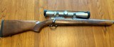 Ruger M77/17 17WSM - 2 of 6