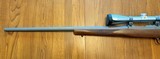 Ruger M77/17 17WSM - 6 of 6