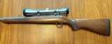 Ruger M77/17 17WSM - 5 of 6