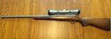 Ruger M77/17 17WSM - 4 of 6