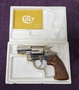 1977 Colt Cobra Nickel Beautiful - 4 of 4