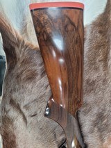 RIZZINI, RHINO EXPRESS, .416 RIGBY - 9 of 14