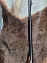 RIZZINI, RHINO EXPRESS, .416 RIGBY - 5 of 14