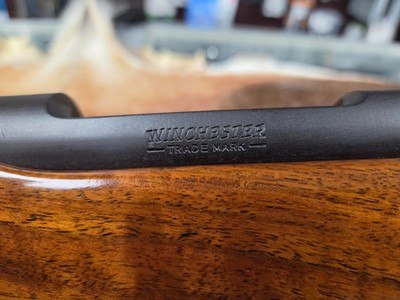 WINCHESTER MODEL 70 .243 WIN POST 64 - Image 9 of 13