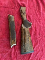 K80 Parcours stock Cat005 - 1 of 2