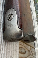 U.S. Springfield Model 1884 45-70 Trapdoor - 7 of 14