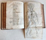 “UFO alien anatomy photo” in 1772 ANATOMY illustrated ANTIQUE by Theodor CRAANEN Tractatus physico-medicus - 10 of 15