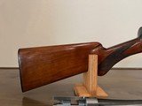 1961 Browning A-5 12 gauge, Light Twelve - it's a beauty! - 2 of 15