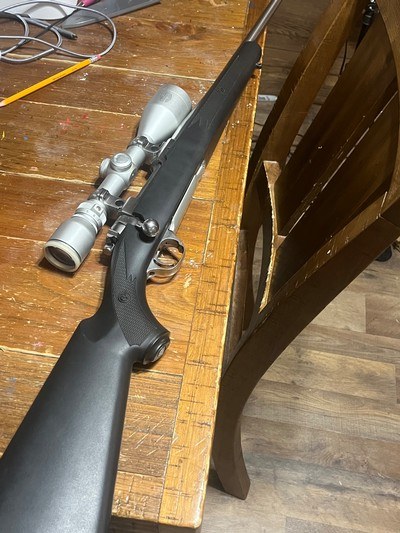wts ruger 77 mk 2 stainless 243