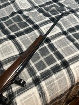 wts ruger 77 243 - 5 of 6