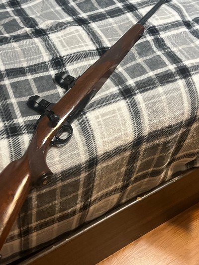 wts ruger 77 243