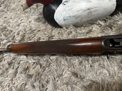 Browning Auto-5 “Twenty” Vent Rib 25.5” IC Choke - 1958 - Image 7 of 15