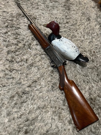 Browning Auto-5 “Twenty” Vent Rib 25.5” IC Choke - 1958 - Image 14 of 15