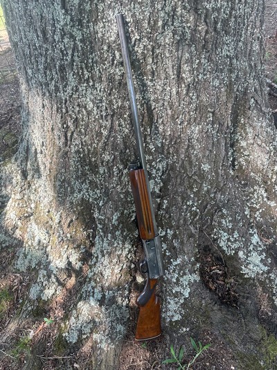 1966 Browning Auto-5 Magnum 29.5” Plain Full Choke - Image 10 of 15
